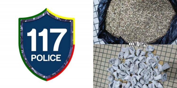 Vodjè gbadji : 2 personnes interpellées avec une importante quantité de chanvre indien