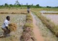 Pôles territoriaux au Bénin : Le défi du passage à l’action