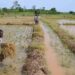 Pôles territoriaux au Bénin : Le défi du passage à l’action