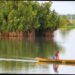 Mangroves au Bénin : Le réveil des communautés