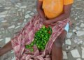 Site de maraîchage de Djeffa/Sèmè-Podji : Une voleuse de piment conduite chez les Zangbéto