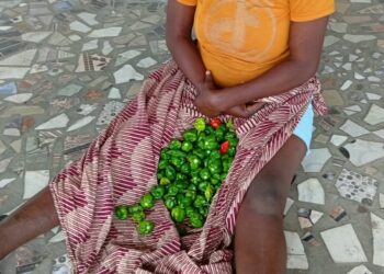 Site de maraîchage de Djeffa/Sèmè-Podji : Une voleuse de piment conduite chez les Zangbéto