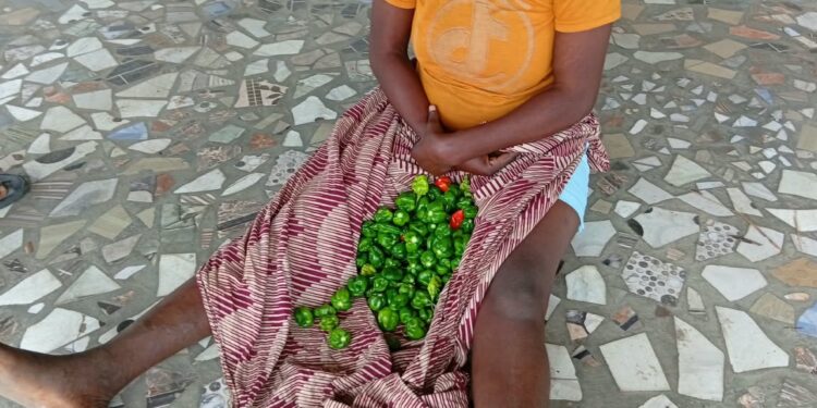 Site de maraîchage de Djeffa/Sèmè-Podji : Une voleuse de piment conduite chez les Zangbéto