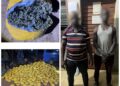 Bantè : 1 031 boules de chanvre indien saisies dans un minibus
