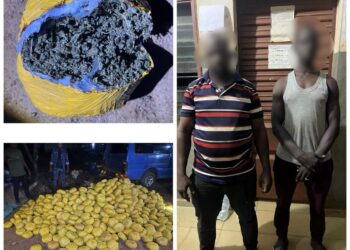 Bantè : 1 031 boules de chanvre indien saisies dans un minibus
