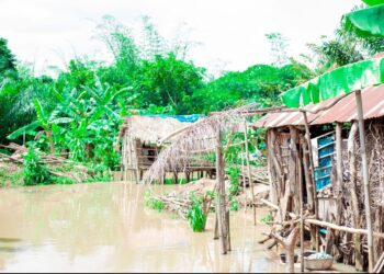 Montée des eaux du fleuve Ouémé : Adjohoun et Bonou durement touchées