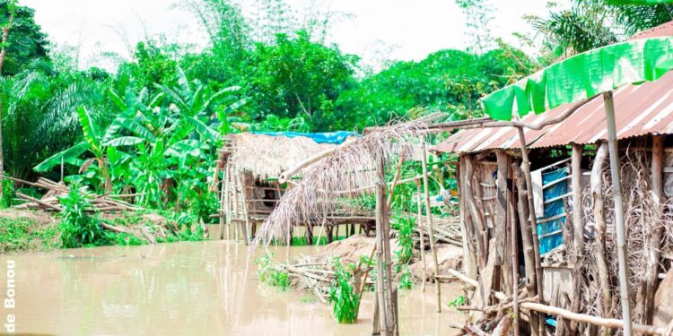 Montée des eaux du fleuve Ouémé : Adjohoun et Bonou durement touchées