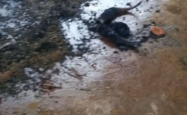 Drame culturel à Gbétagbo : le masque Zangbéto Vadjè central détruit par des flammes