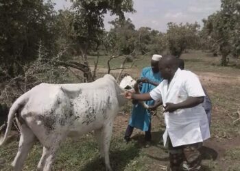 Opération Mirador au Bénin : 73 activités réalisées pour impacter 63600 bénéficiaires