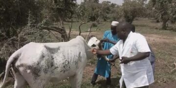 Opération Mirador au Bénin : 73 activités réalisées pour impacter 63600 bénéficiaires