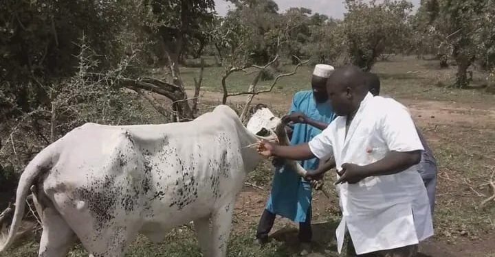 Opération Mirador au Bénin : 73 activités réalisées pour impacter 63600 bénéficiaires
