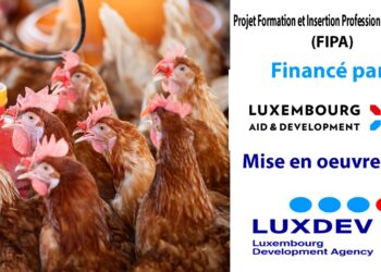 Projet Fipa : la Ferme K-d.k forme 50 professionnels à la conservation des produits avicoles