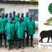 Parc national W-Bénin : 20 jeunes riverains en formation à l’entrepreneuriat à la Ferme K-d.k