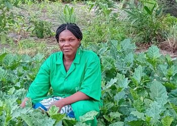 Découverte d&rsquo;une femme maraîchère à Sèmè-Podji : Ulriche Hontonnou, un exemple de résilience professionnelle