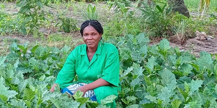 Découverte d&rsquo;une femme maraîchère à Sèmè-Podji : Ulriche Hontonnou, un exemple de résilience professionnelle
