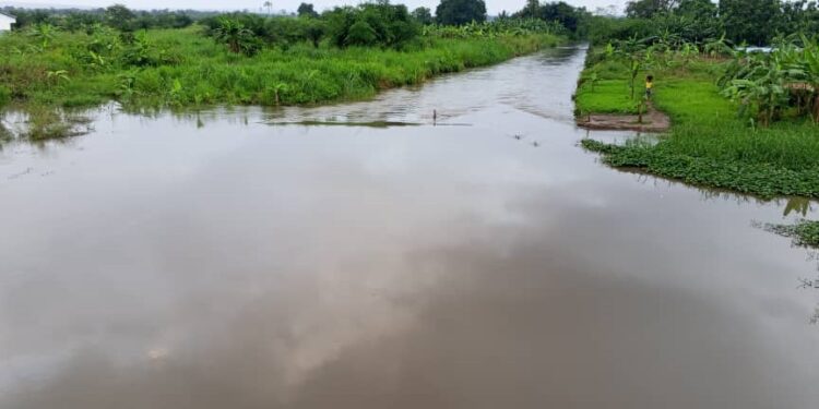 Burkina Faso, Nigeria et Tchad : Le Pac diversifie ses corridors et renforce son positionnement régional