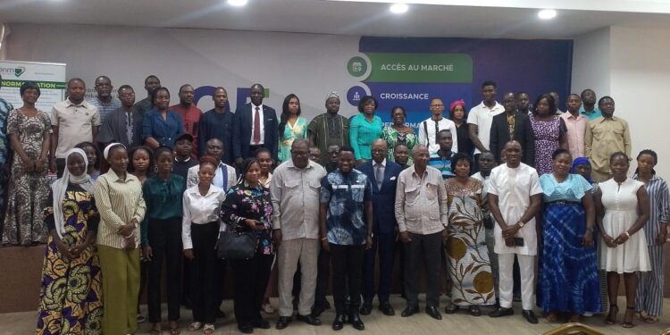 Journée mondiale de la normalisation : Le Bénin mise sur les normes pour accélérer la transition énergétique