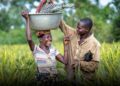Pôles territoriaux : Les perspectives du développement local